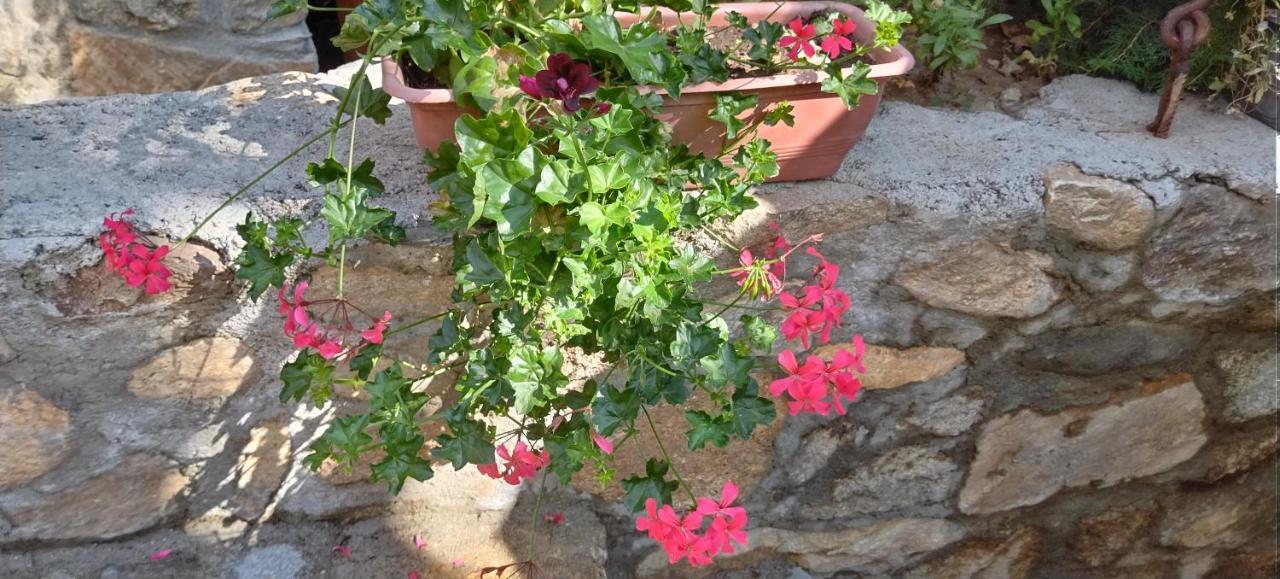 ביטולה Villa Old House Bn מראה חיצוני תמונה